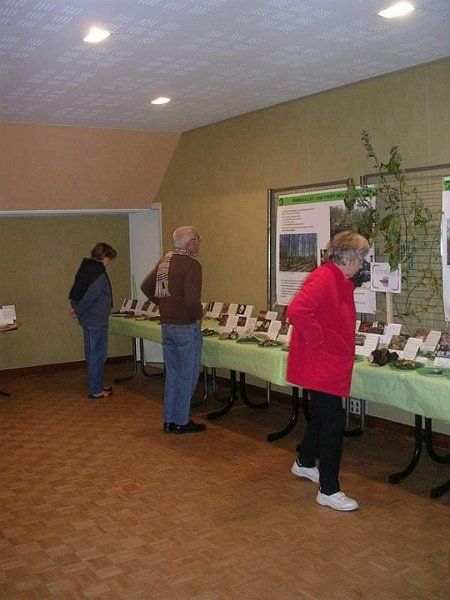 Expo champignons a St Leger 36